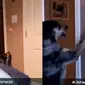 Life hack anjing disuruh matiin lampu kamar (Sumber: Twitter/AnimalNoContext)