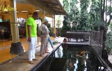 Intip 7 Kolam Ikan di Rumah Irfan Hakim, Salah Satunya Terletak di Tangga