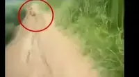 Untuk Apa Kementerian Sosial Mencari Suku Mante?