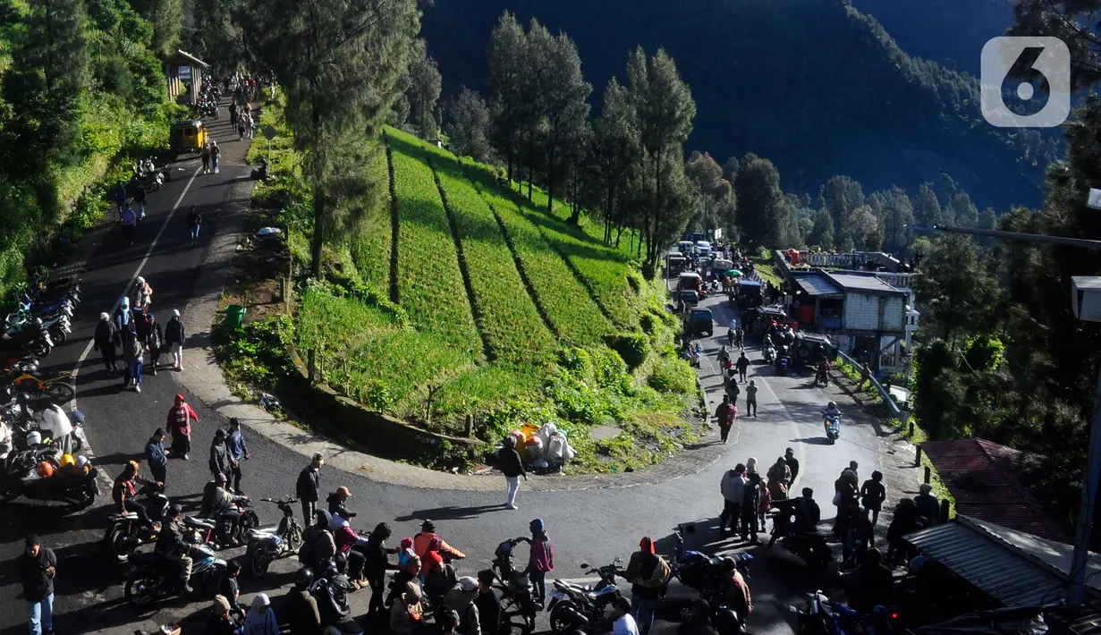 Tak hanya indah, udara kawasan Bromo yang sejuk membuat wisatawan merasa segar menghirupnya. (merdeka.com/Arie Basuki)