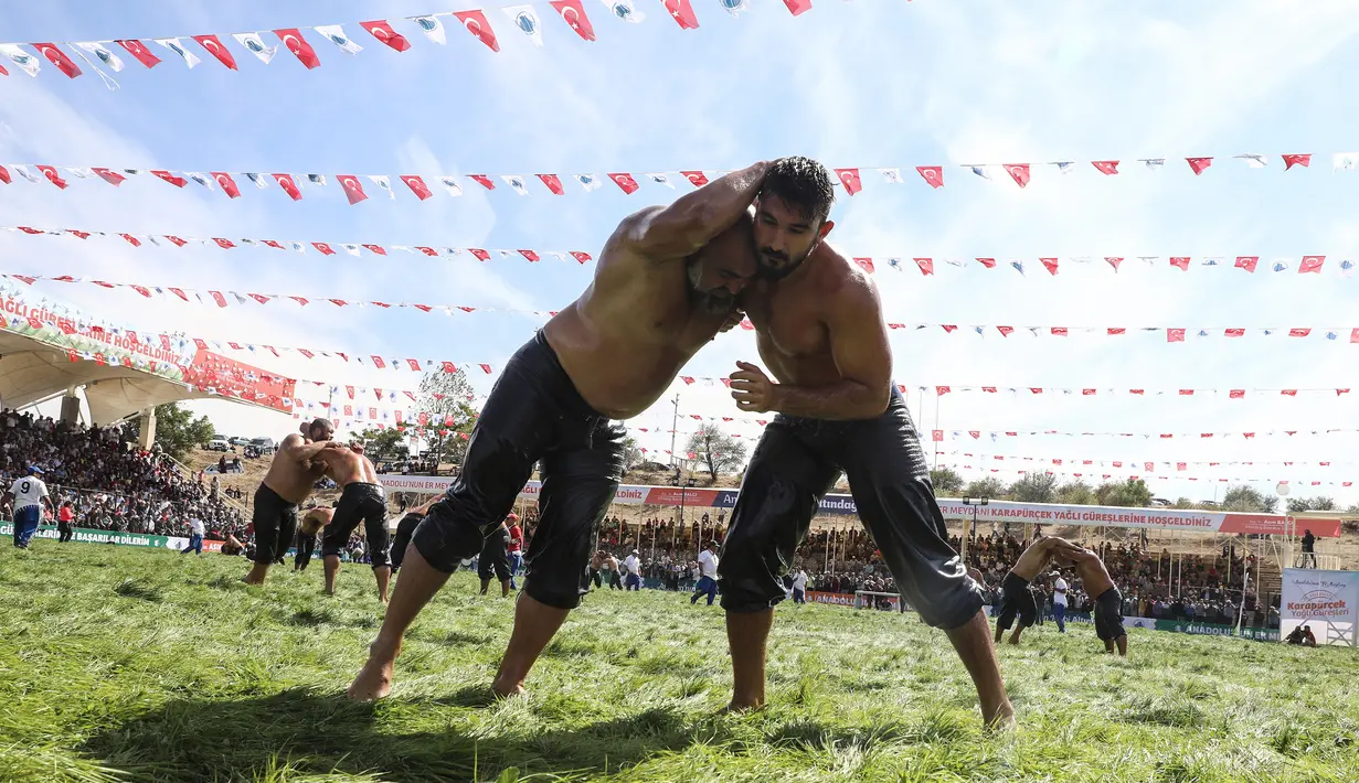 Sejumlah pegulat Pehlivan saat bersaing dalam turnamen Karrestcek Oil Wrestling ke-25 di Ankara (15/9/2019).  Petarung gulat minyak menyiram tubuh dan pakaian dengan campuran minyak zaitun dan air sebelum bertanding. (AFP Photo/Adem Altan)