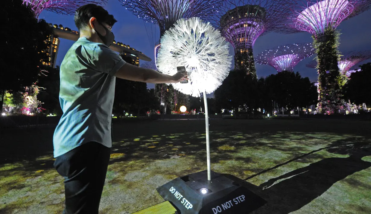 Pengunjung berinteraksi dengan instalasi multimedia "Dandelion" di Gardens by the Bay, Singapura, pada 9 November 2020. "Dandelion" memungkinkan orang-orang di Singapura dan Jepang berinteraksi satu sama lain yang dipamerkan secara bersamaan di kedua negara hingga 15 November. (Xinhua/Then Chih Wey)