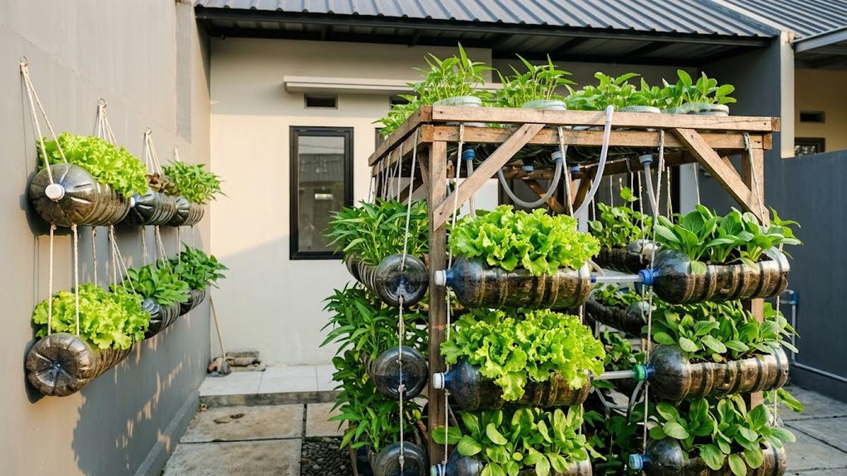 7 Ide Kebun Sayur dari Galon Bekas untuk Belakang Rumah Subsidi Ukuran 2x3 Meter yang Praktis