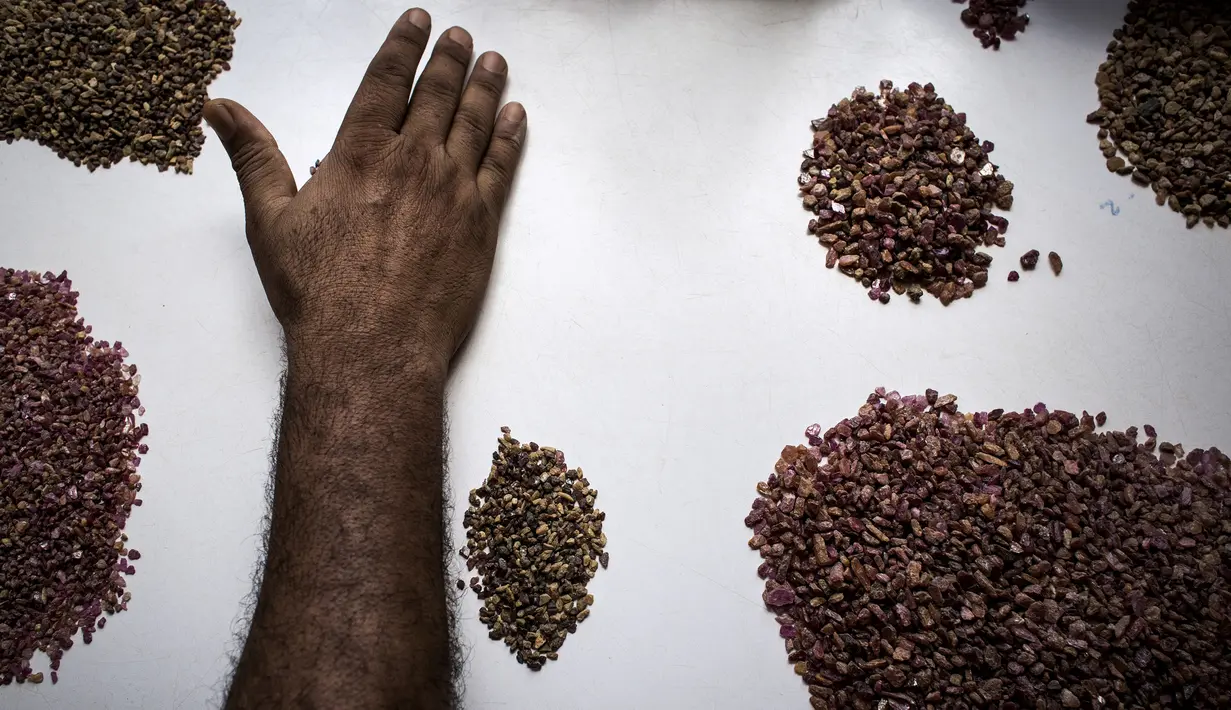 Seorang ahli geologi melakukan proses penyortiran akhir di tambang Gemfields Ruby di Montepuez, Mozambik (14/2). Batu ruby ini adalah salah satu batu permata berwarna yang berharga tinggi. (AFP/John Wessels)