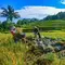 DPR Minta Pemerintah Geser Tolok Ukur Keberhasilan Ekonomi