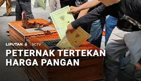 Peternak Tertekan Harga Pakan