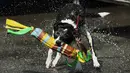Seekor anjing bernama Luke menggigit mainannya saat mengikuti kompetisi Splash Dogs di Costa Mesa, California (28/4). Lomba ketangkasan ini merupakan rangkaian dari acara American Family Pet Expo. (AFP/Mark Ralston)
