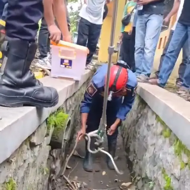 Ular sanca gegerkan warga Sukabumi. (Liputan6.com/Fira Syahrin)