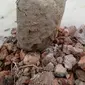 Warga kembali menemukan artefak kuno berupa batu mirip nisan di sekitar situs batu bata kuno Kalikudi, Cilacap. (Foto: Liputan6.com/Nakam S Wibowo/Muhamad Ridlo)
