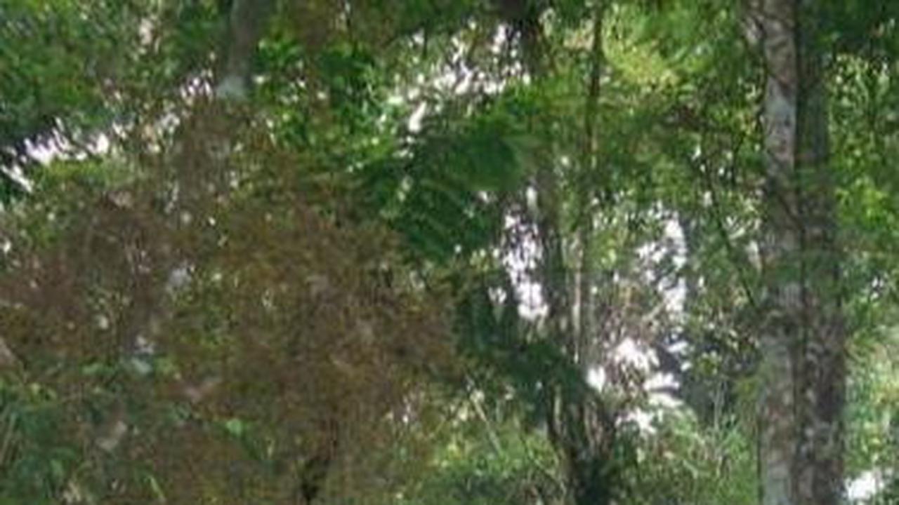 2. Misteri Simpang Maleber <br>