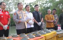 Polres Batu Bara Gagalkan Perdagangan Satwa Purba, 300 Belangkas Disita