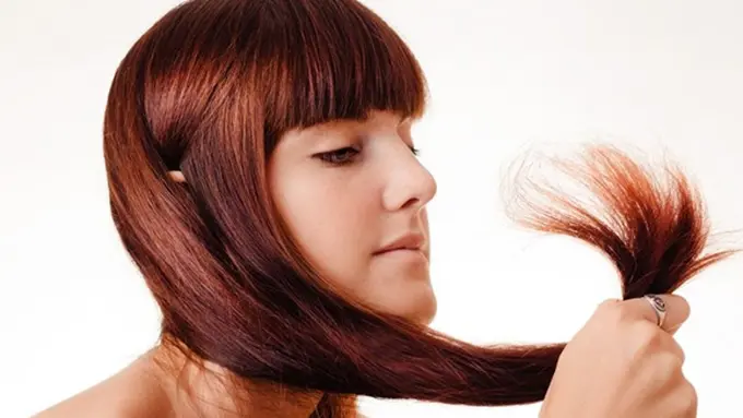 Foto: Copyright 123RF.com