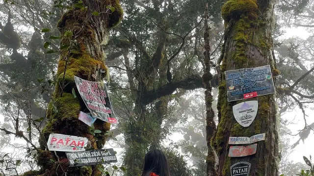 Pendaki di Gunung Patah https://www.instagram.com/p/C3oXsWmPktA/?igsh=dXQyODFuYmsyc2xz