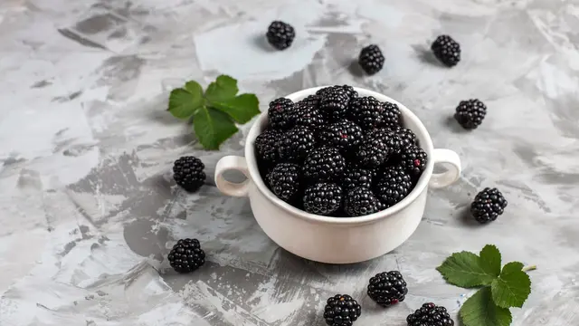 Ilustrasi buah blackberry/freepik.com/azerbaijan_stockers