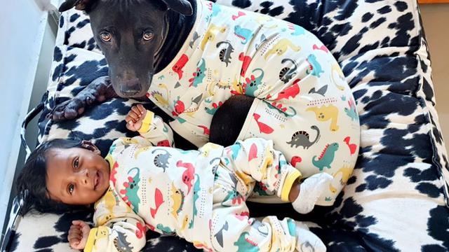 Kisah Bayi Lahir di Mobil, Ujungnya Miliki Akta Kelahiran Unik