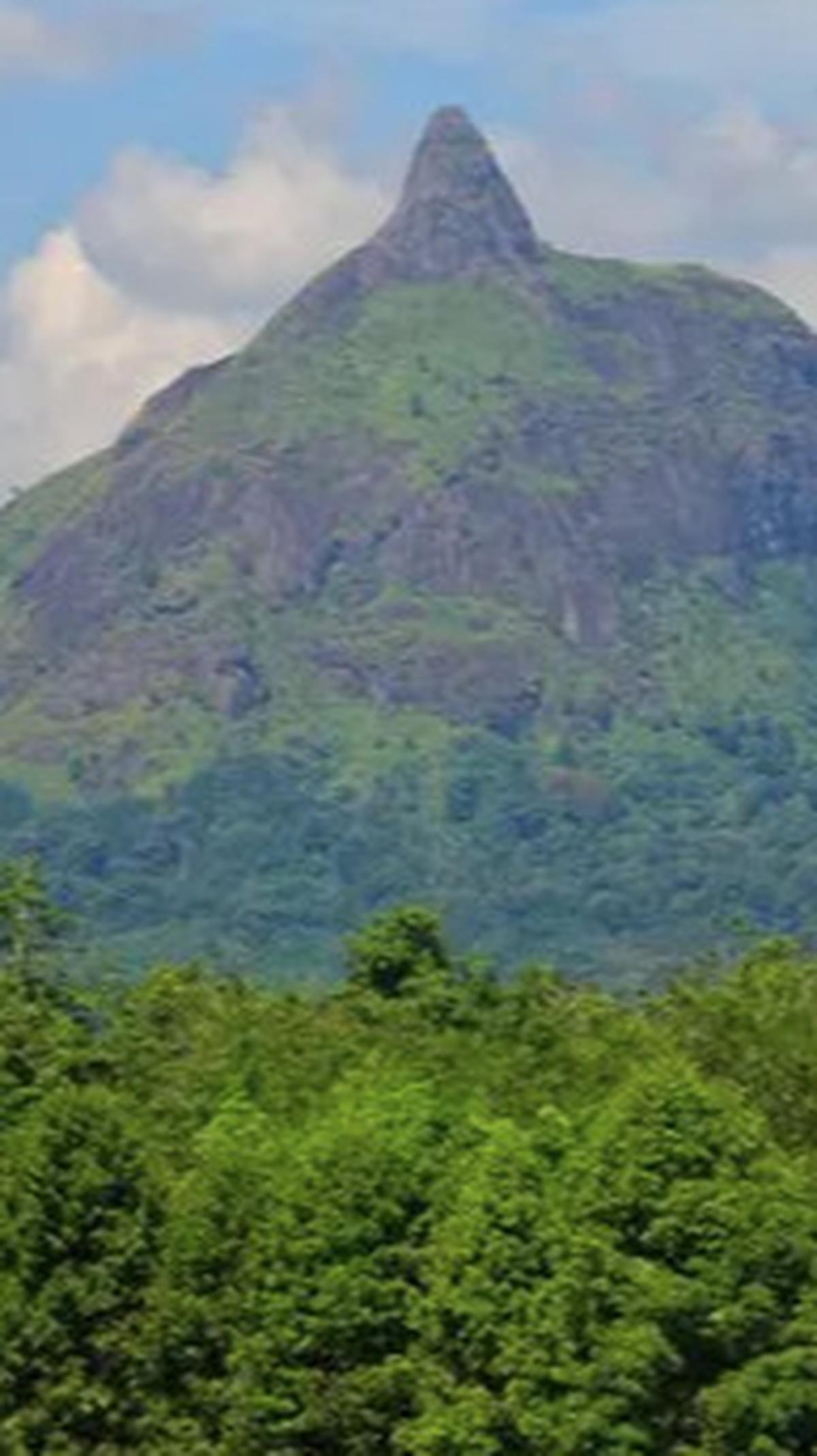 6. Bukit Jempol<br>
