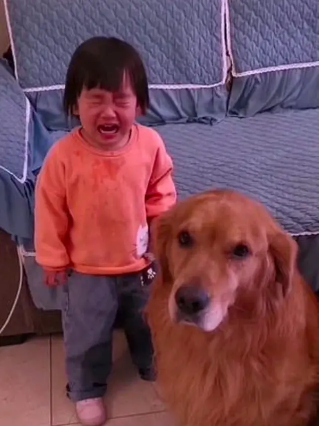 Bocah Menangis Dimarahi Ibunya, Anjing Ini Malah Marahi Pemiliknya