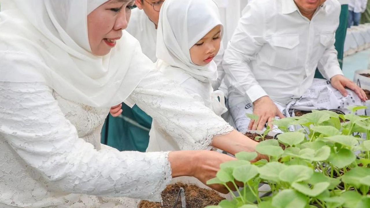 Usai menjalannya salat ied, Khofifah mengajak cucunya, Aila menanam bibit sekaligus panen melon di halaman Masjid Agung Surabaya (MAS). Aila tampak antusias melakukan kegiatan tersebut.