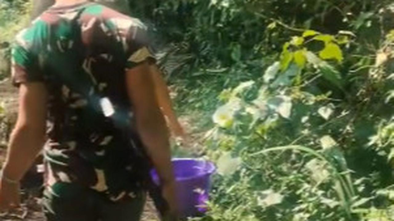 TNI Ini Jalan Kaki di Tengah Hutan Mencari Air Untuk Mandi sambil Waspada Bawa Senjata Laras Panjang