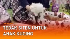 Tradisi sejatinya perlu dilestarikan menurun, salah satunya Tedak Siten. Perayaan anak yang baru bisa berjalan sejatinya digelar untuk anak manusia. Namun pengguna TikTok @riomaryono justru lakukan hal berbeda.