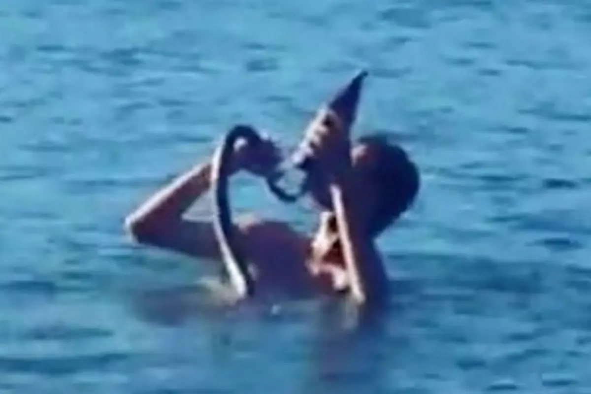 Momen Aneh, Pria Ajari Ular Peliharaan Berenang Sambil Minum Bir