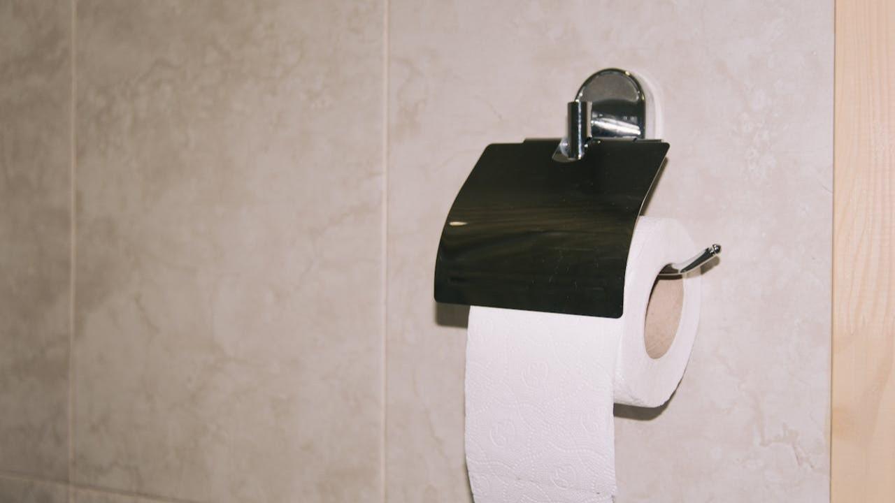 Tisu Toilet