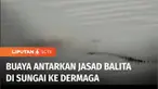 Video seekor buaya liar mendorong jasad seorang balita di sungai, dan mengantarkan hingga ke dermaga, menggegerkan warga di Muara Jawa, Kutai Kartanegara, Kalimantan Timur. Buaya meninggalkan jasad bocah, yang sebelumnya dilaporkan menghilang selama ...