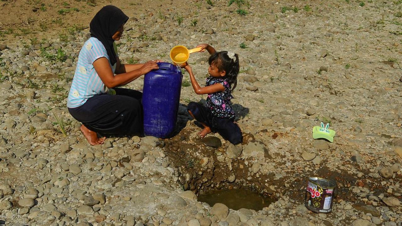 Fenomena El Nino: Kekeringan di Bogor