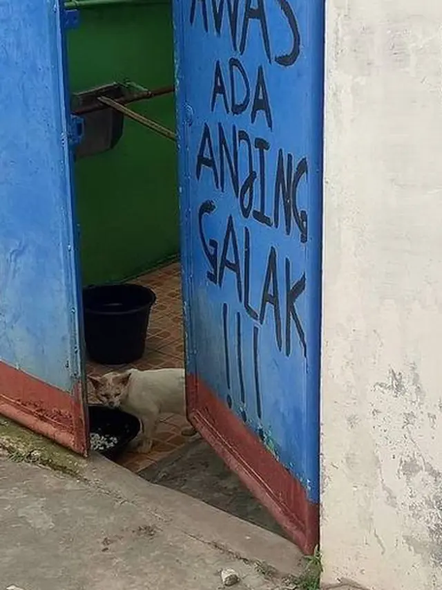 6 Tulisan Absurd 'Awas Galak' Ini Bikin Geleng Kepala