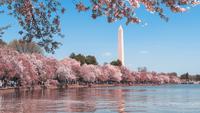 8 Things to Do in DC This Weekend With Family: A Memorable Adventure Awaits
