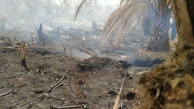 Kebakaran hutan di sebuah titik di Kalimantan Tengah. (dok BNPB)