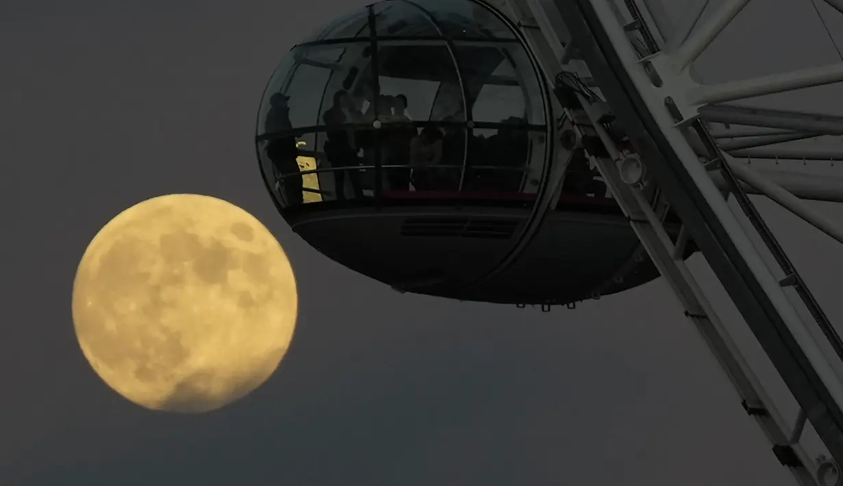 Bulan purnama terakhir tahun ini yang dikenal sebagai Bulan Dingin terbit di sebelah kapsul bianglala London Eye di London, Rabu (7/12/2022). Beberapa nama lain untuk Bulan purnama Desember adalah Snow Moon, Long Night Moon, dan Winter Maker Moon. (AP Photo/Alastair Grant)