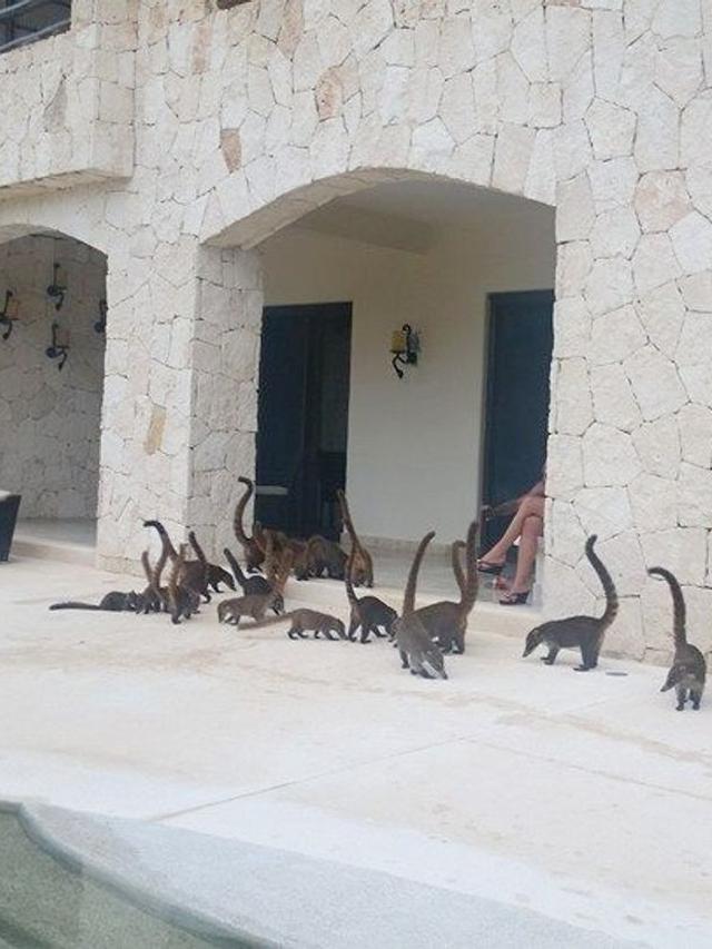 Bikin Mikir Dua Kali, 10 Potret Ini Buktikan Angle Bisa Menipu Mata