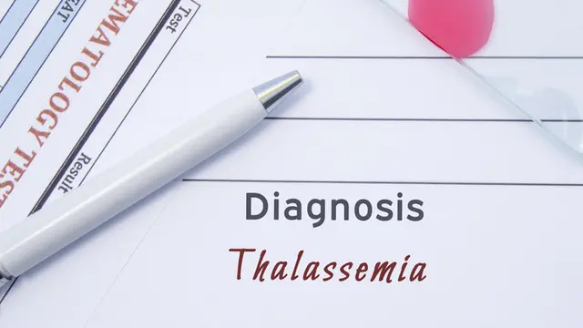 Penyakit Thalasemia