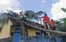 Puting Beliung OKU Selatan Rusak Empat Sekolah dan Fasilitas Umum, BPBD Imbau Warga Waspada Cuaca Ekstrem
