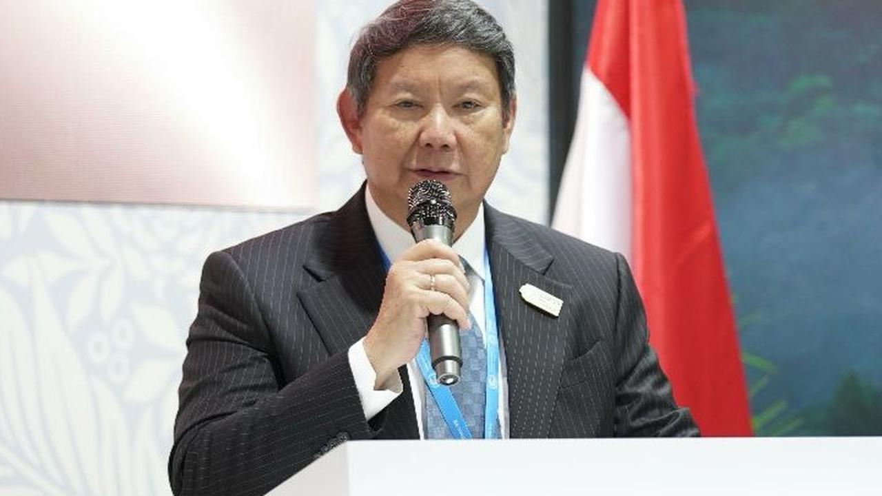 Utusan Khusus Presiden Republik Indonesia dalam Conference of the Parties (COP) 29, Hashim Djojohadikusumo