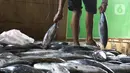 Pekerja membersihkan ikan cakalang untuk dijual ke pasar di Rumah Produksi Ikan Cakalang, Jagakarsa, Jakarta, Sabtu (19/11/2022). Kementerian Kelautan dan Perikanan (KKP) mengajak masyarakat untuk mengkonsumsi olahan ikan asli Indonesia yang komposisi gizinya tidak kalah dengan ikan impor dan harga yang lebih terjangkau. (Liputan6.com/Herman Zakharia)