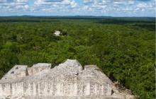 Arkeolog Temukan Kota Metropolis Kuno Tersembunyi di Tengah Hutan, Pernah Dihuni 50.000 Penduduk