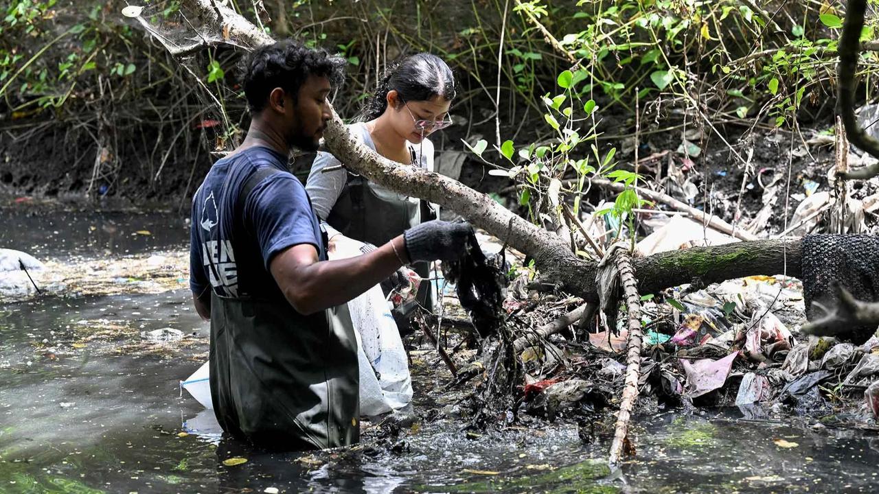 FOTO: Aksi Bersih Sampah Plastik di Hutan Bakau Serangan Bali