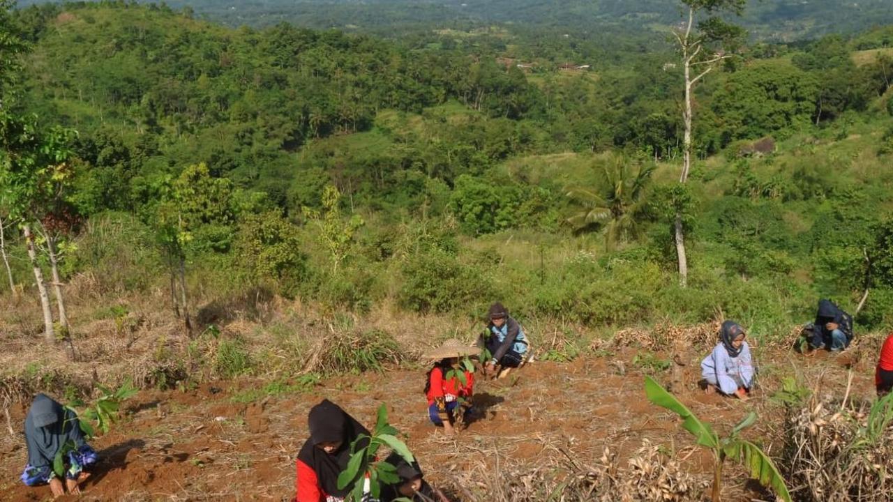 Telkom berkomitmen untuk senantiasa mendampingi masyarakat dalam berbagai sektor kehidupan seperti lingkungan hidup.&nbsp;