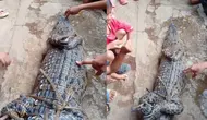 Geger Buaya Muncul di Permukiman Warga Lampung