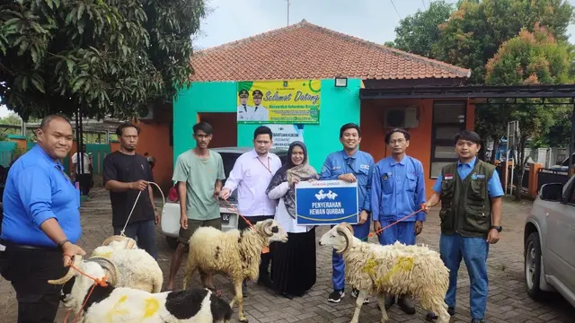 Dalam semangat Idul Adha 1446 H atau Idul Adha 2025, kegiatan penyaluran hewan kurban dilakukan kepada masyarakat di Kota Cilegon dan Provinsi Banten.