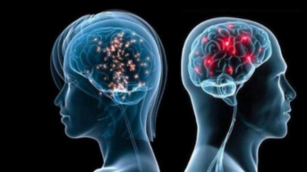 Misteri Penuaan Otak dan Kemampuan Kognitif yang Berubah Seiring Bertambahnya Usia