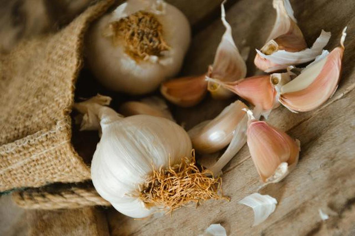 bawang putih dapat dijadikan antibakteri dan antivirus alami.