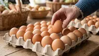 Arti Retakan Halus pada Kulit Telur, Apakah Masih Bisa Dikonsumsi?