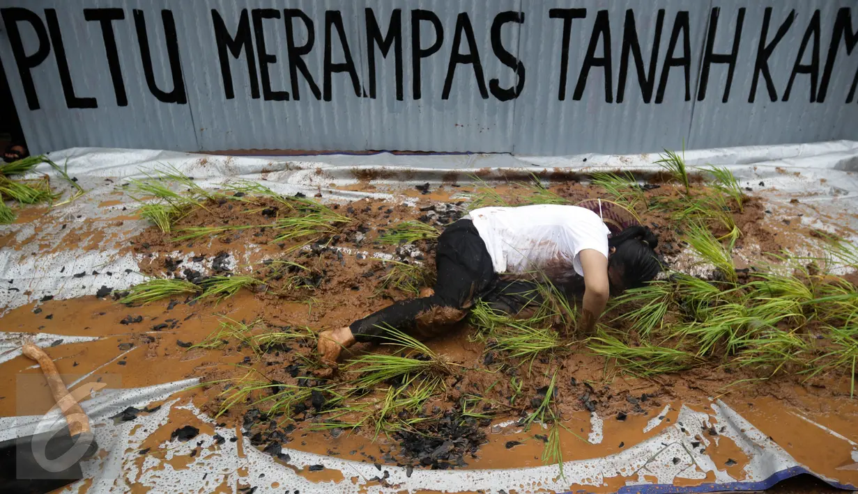 Seorang petani saat menggelar aksi menanam padi di depan Kedubes Jepang, Jakarta, Senin (5/12). Dalam aksinya, mereka menuntut ganti rugi paska penutupan akses lahan pertanian mereka karena pembangunan PLTU batu bara Batang. (Liputan6.com/Faizal Fanani)