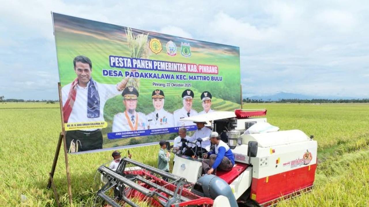 Produktivitas Panen Padi Pinrang Tembus 6,8 Ton per Hektare, Wagub Sulsel Apresiasi Petani