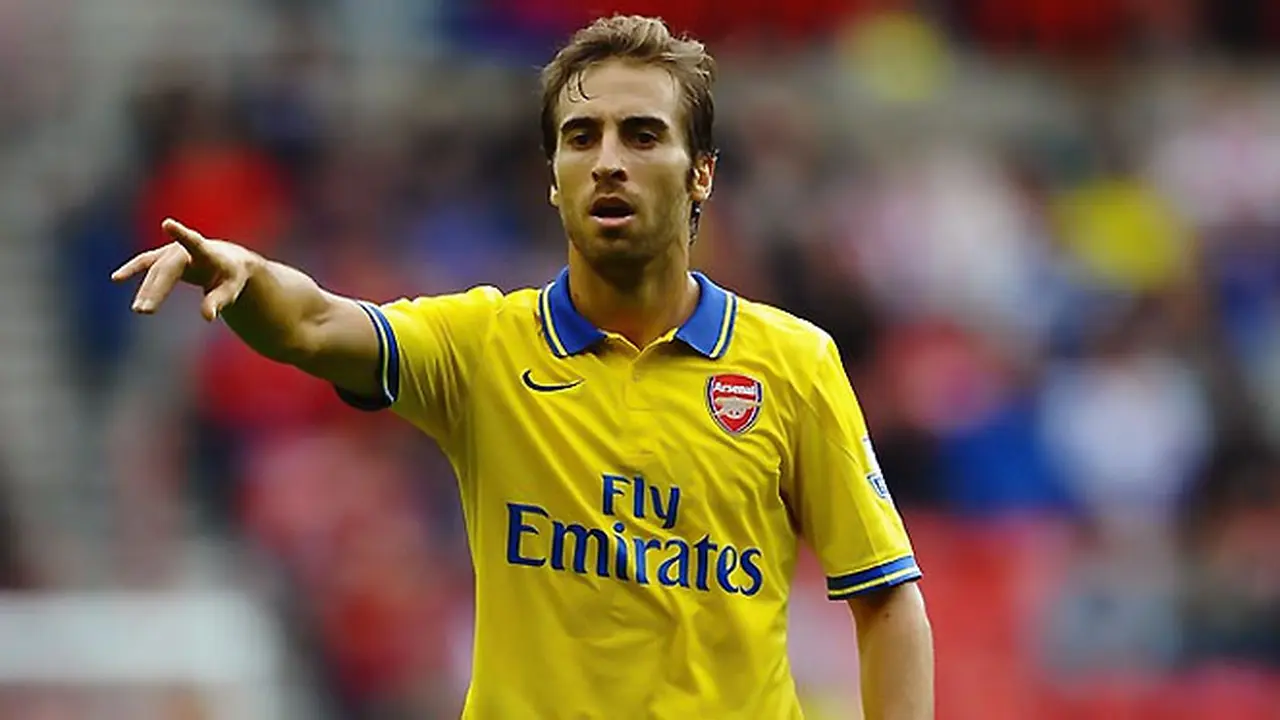 mathiue-flamini-131004b.jpg