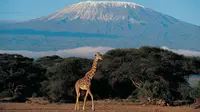 Menjelajahi Tanzania (sumber. weather.com)