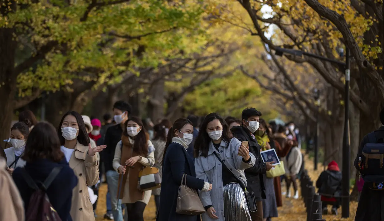Orang-orang dengan mengenakan masker mengambil foto saat mereka berjalan melalui barisan pohon ginkgo saat pepohonan dan trotoar ditutupi dedaunan kuning cerah di sepanjang trotoar di Tokyo, Jepang pada 28 November 2020. (AP Photo/Kiichiro Sato)